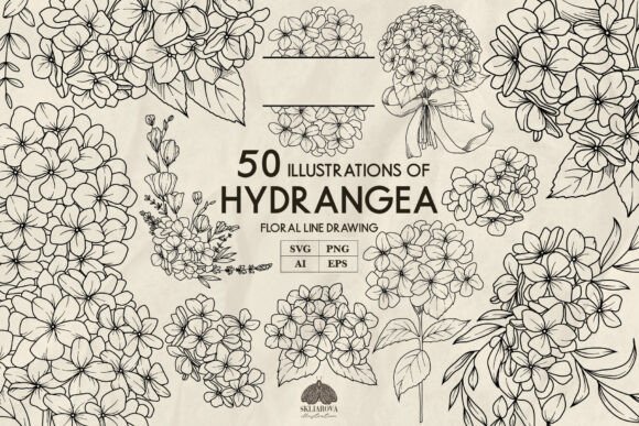 Download Hydrangea Line Drawing Svg - Svg Collection